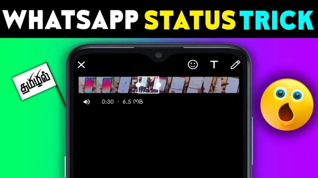 What is the role of status videos on social media? 1 What is the role of status videos on social media?