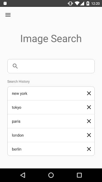 Image Search app