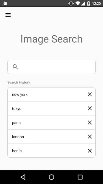 Image Search app