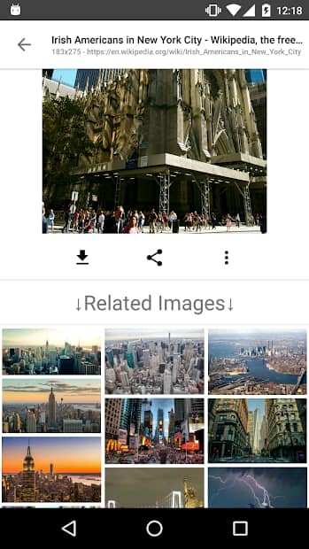 Image Search app 2022