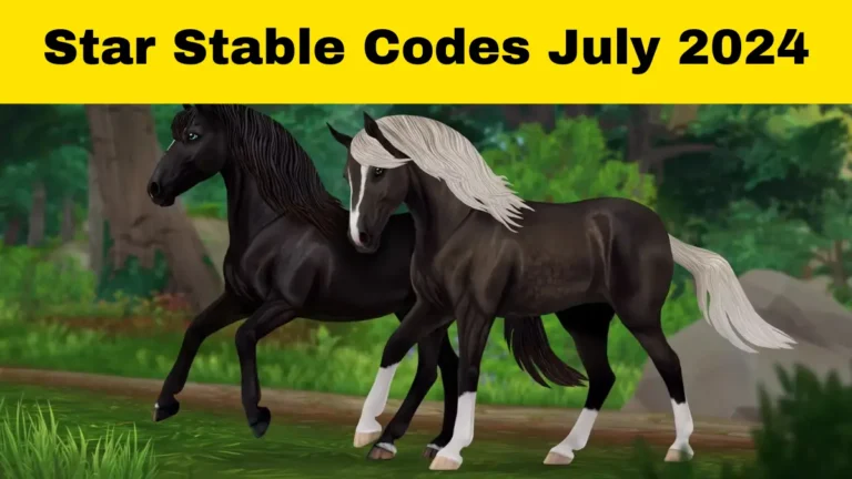 Star Stable Codes (July 2024)