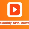 Video Buddy APK Download Features, Risks, and Benefits