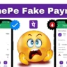 PhonePe Fake Payment